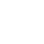 Red_rose_image_6331a121a31ee (1)