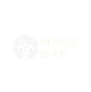 Untitled design (30)